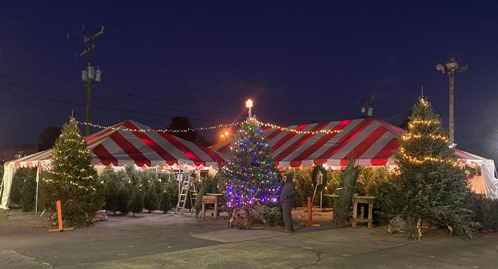 charlottesville-christmas-trees Charlottesville Christmas Trees